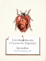 Lieveheersbeestje (Coccinella stigmata)